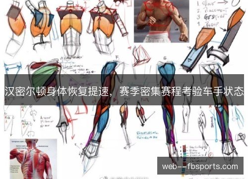 汉密尔顿身体恢复提速，赛季密集赛程考验车手状态